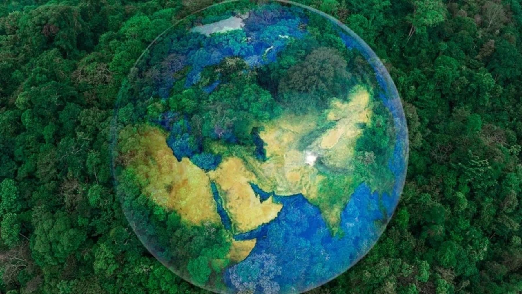 Día del Sobregiro de la Tierra 2025 el ser humano habrá consumido todos los recursos que la naturaleza puede regenerar en un año