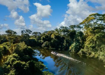 WWF ley áreas protegidas Ecuador modificaciones