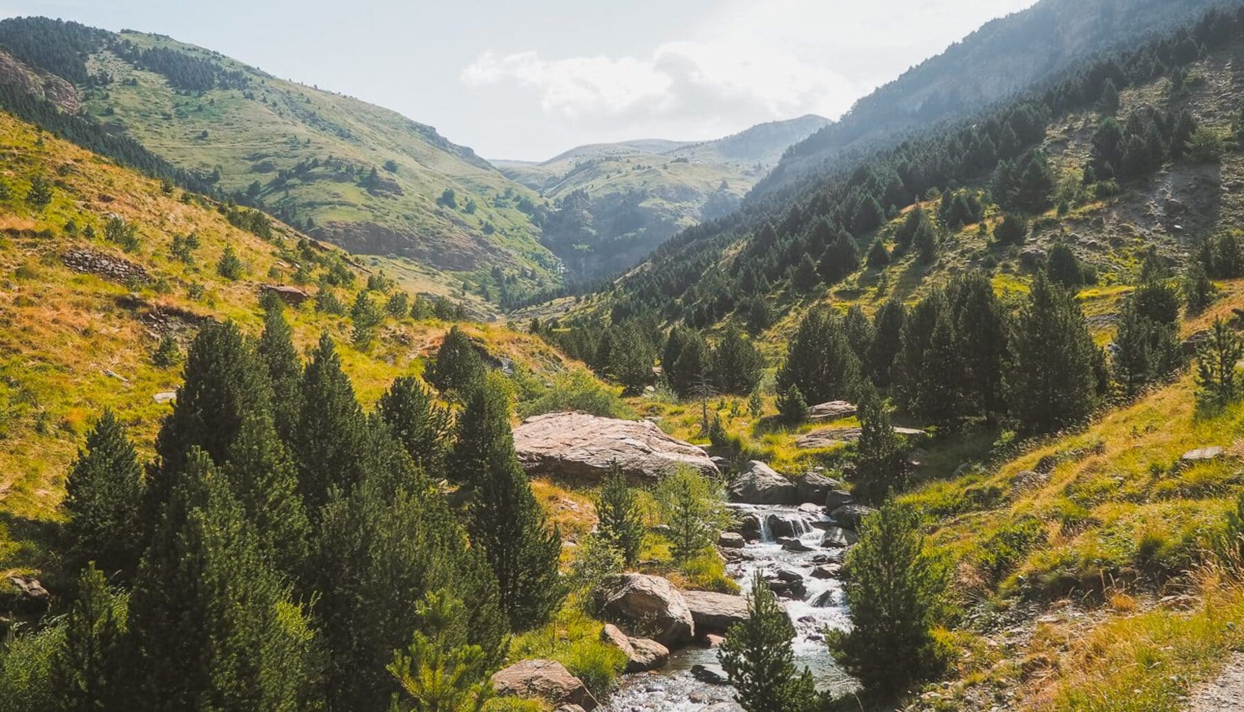 El Pirineo de Huesca albergaba osos de las cavernas se han encontrado sus fósiles