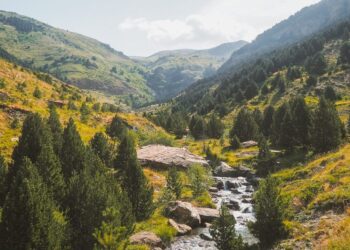 El Pirineo de Huesca albergaba osos de las cavernas se han encontrado sus fósiles