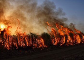 fuego forestal Barranco Cinco Villas’ Ávila descontrolado