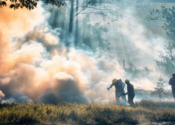El incendio de Paüls (Tarragona) se lleva por delante la vida de un técnico forestal y 3300 hectáreas calcinadas