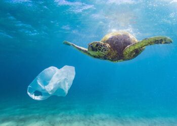 verter toneladas plásticos mares océanos