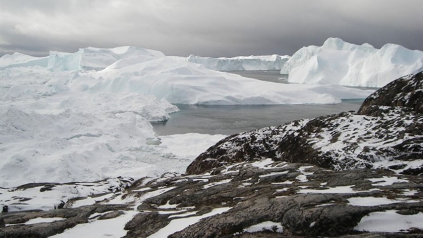 Entorno marino del Ártico el cambio climático favorece algas nocivas para los ecosistemas y seres humanos
