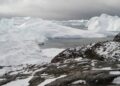 Entorno marino del Ártico el cambio climático favorece algas nocivas para los ecosistemas y seres humanos