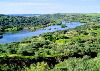 Hostigamiento a los guardas fluviales del Guadiana, amenazados por individuos vinculados a actividades ilegales