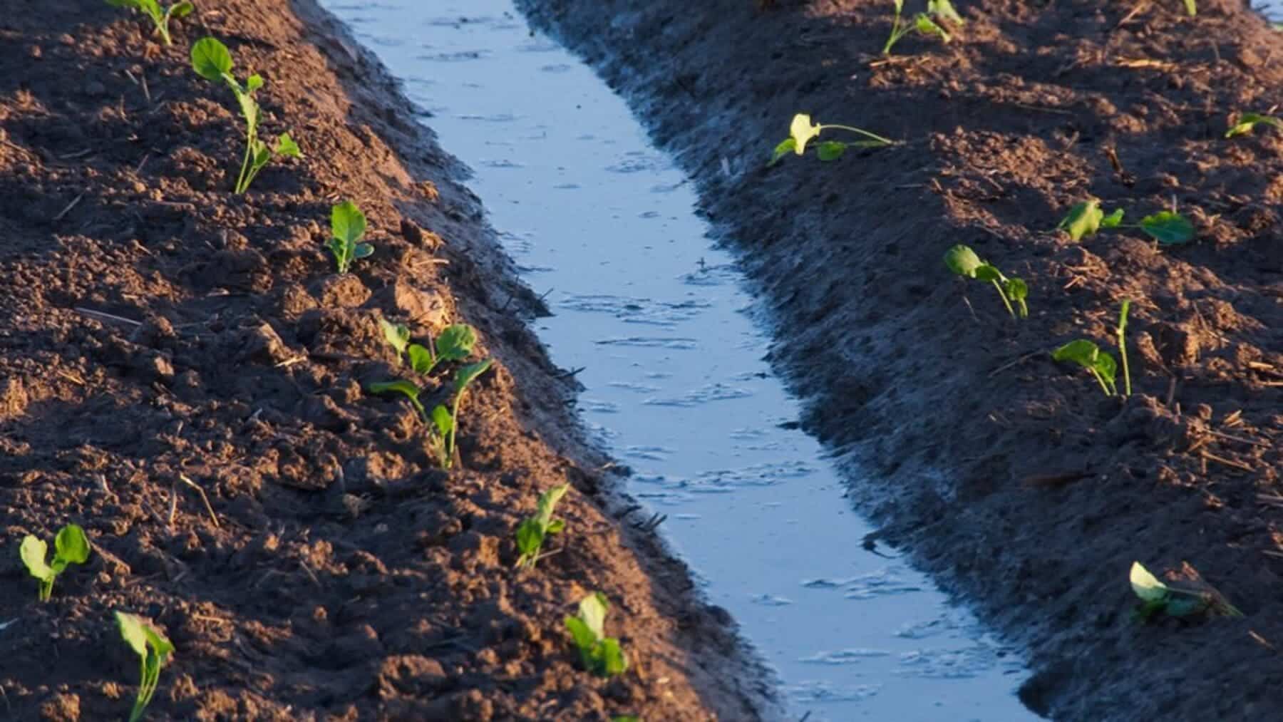 Inversión histórica en Andalucía en obras para ‘aguas regeneradas’ aptas para la agricultura