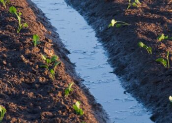 Inversión histórica en Andalucía en obras para ‘aguas regeneradas’ aptas para la agricultura