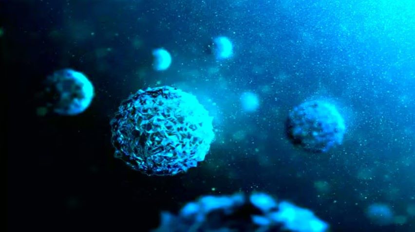 contaminación nanoplásticos océanos