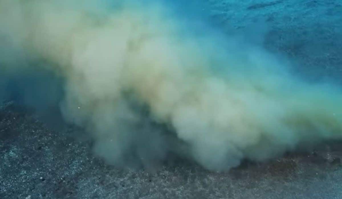 vertidos ilegales mar Canarias