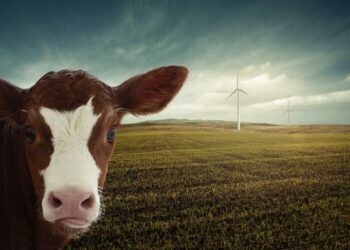 opinion-ecologistas-no-aprobacion-rdl-antiapagones