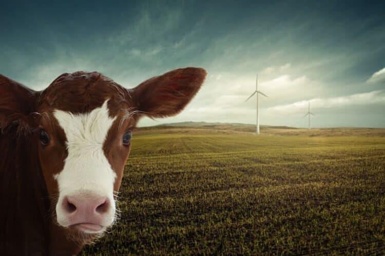 opinion-ecologistas-no-aprobacion-rdl-antiapagones