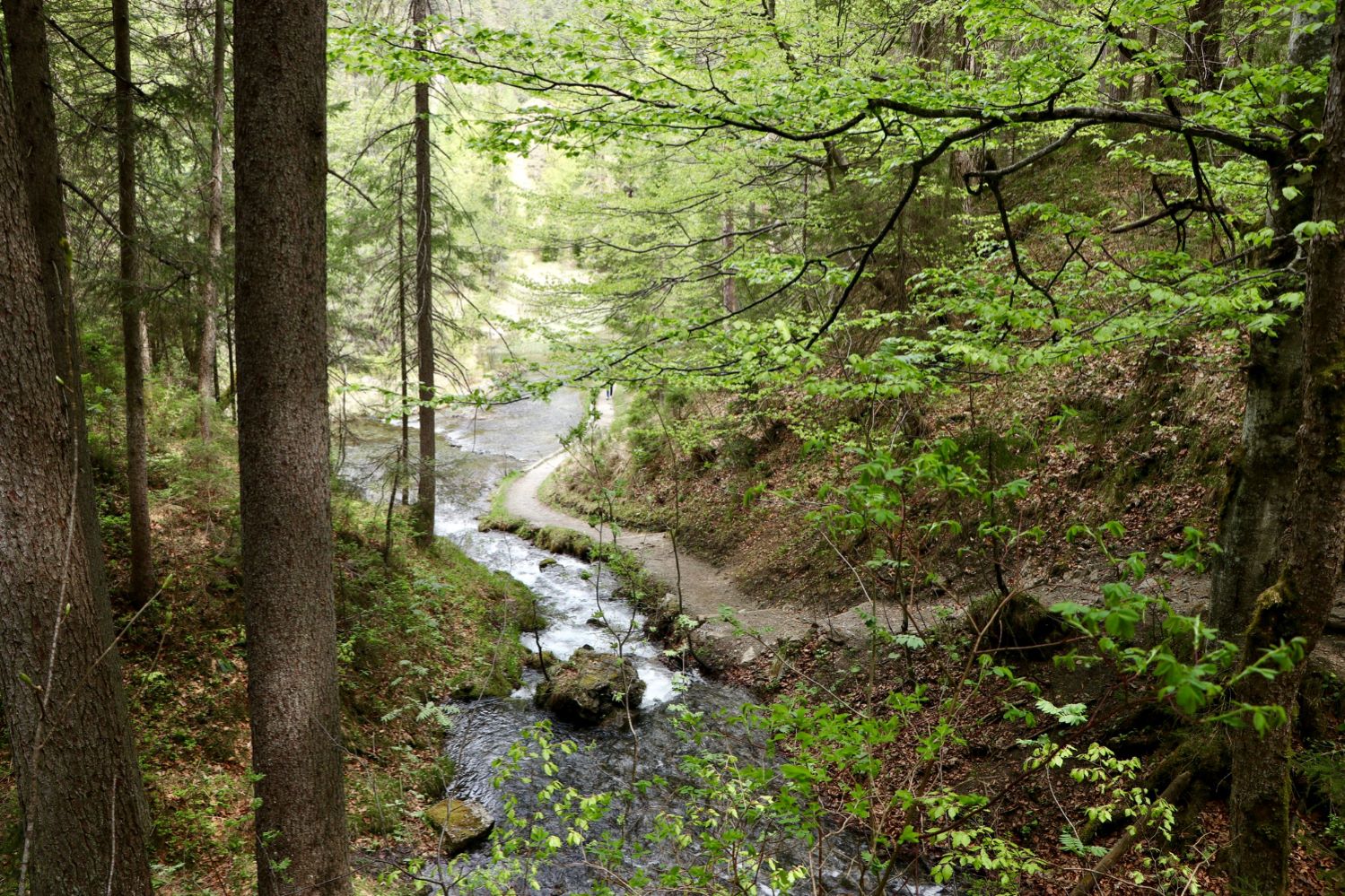 Reserva Biosfera Urdaibai agua