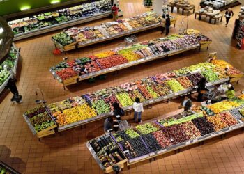 Las cadenas de supermercados alemanas Aldi Nord, Aldi Süd, Edeka y Lidl son ‘corresponsables’ de la destrucción de lagunas protegidas