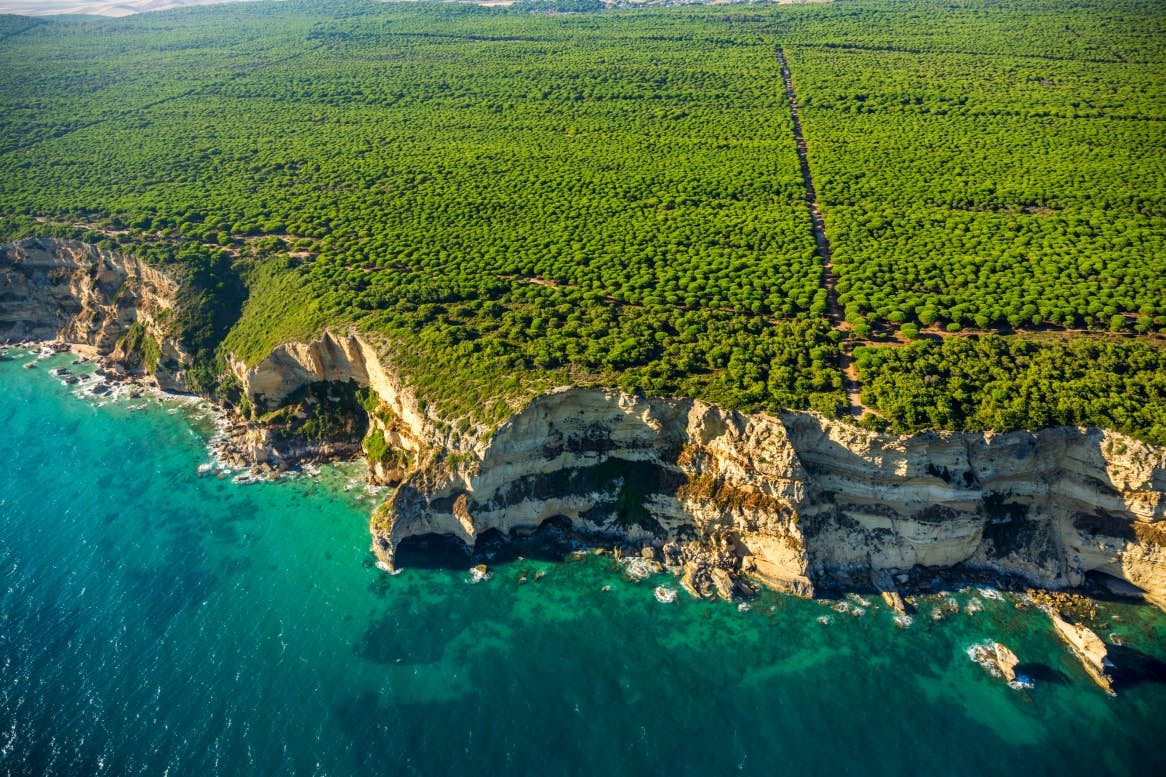 talas Breña montañas astillas biomasa desastre ambiental