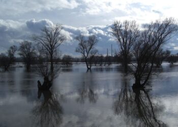 Tribunal Justicia UE España incumple directiva riesgo inundación Canarias