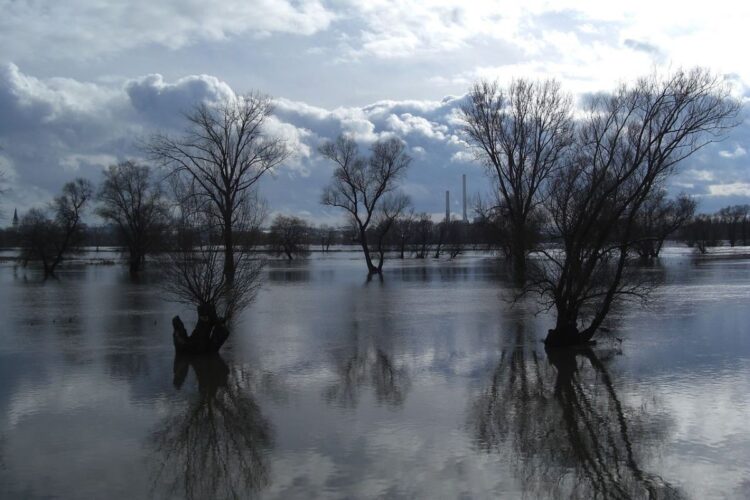 Tribunal Justicia UE España incumple directiva riesgo inundación Canarias