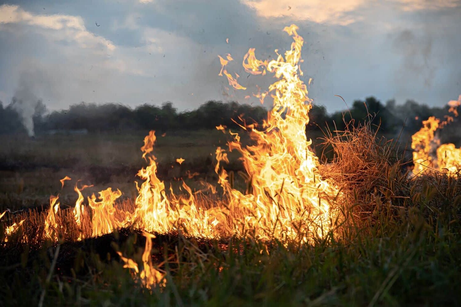 Balcanes cenizas ola calor