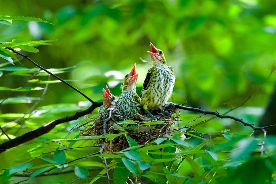 ministros medio ambiente 27 países Unión Europea transición ecológica