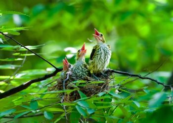 ministros medio ambiente 27 países Unión Europea transición ecológica