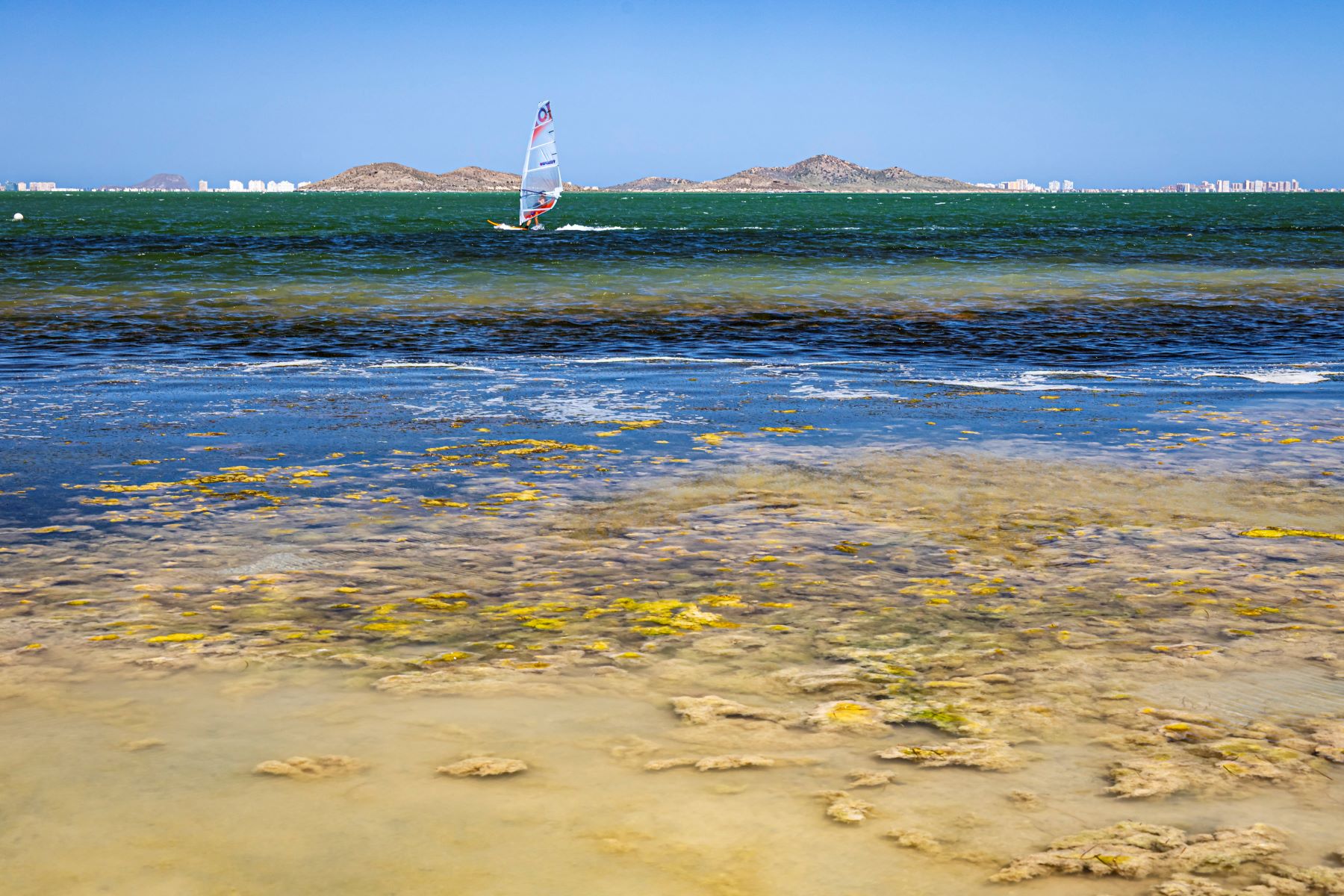 Malas noticias Mar Menor aumento clorofila turbidez