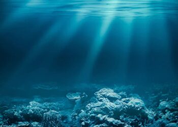 México una compañía de minería submarina de EE.UU. quiere explotar el mar de la Baja California Sur