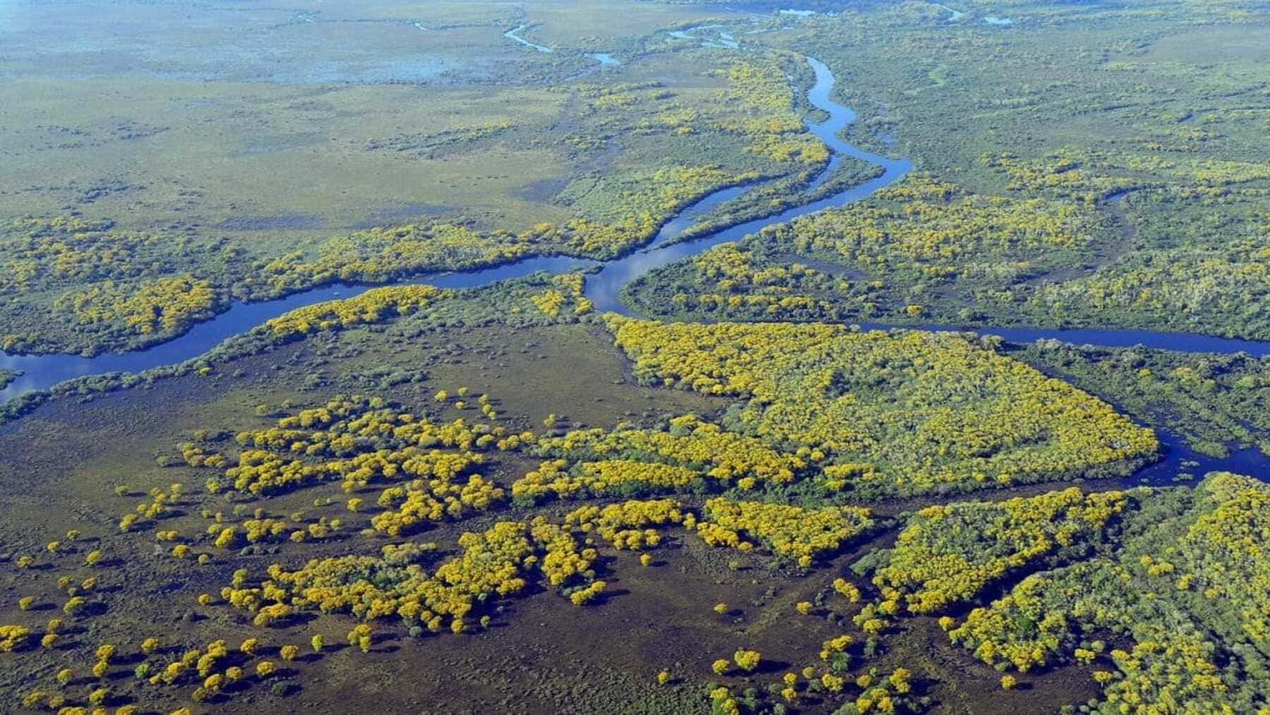 Óscar verde un documental sobre el ‘Pantanal’ con una superficie de 17 millones de hectáreas entre Brasil, Bolivia y Paraguay, podría ganarlo