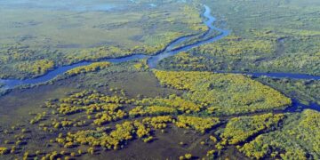 Óscar verde un documental sobre el ‘Pantanal’ con una superficie de 17 millones de hectáreas entre Brasil, Bolivia y Paraguay, podría ganarlo