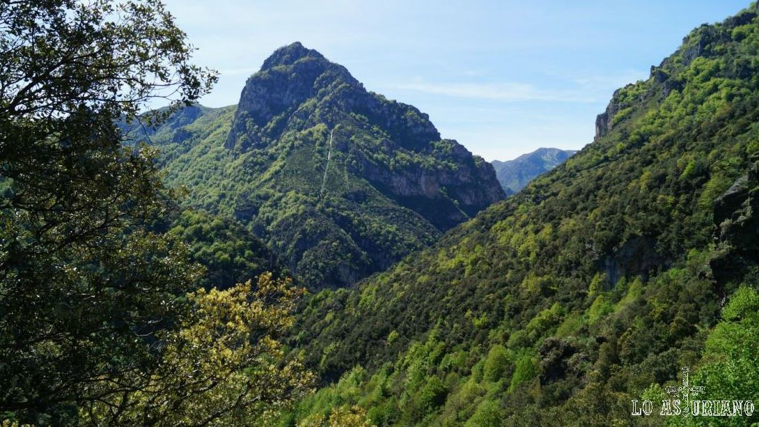 Polémica medioambiental película Juegos Hambre Asturias