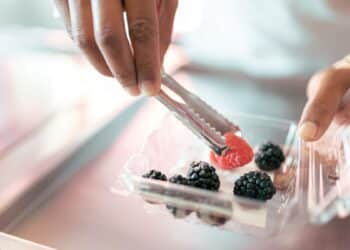 Proyecto GRECO bioplásticos ecológicos