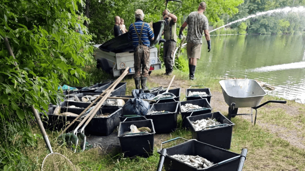 República Checa ola calor muerte asfixia peces lago Modlanska