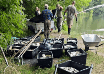 República Checa ola calor muerte asfixia peces lago Modlanska