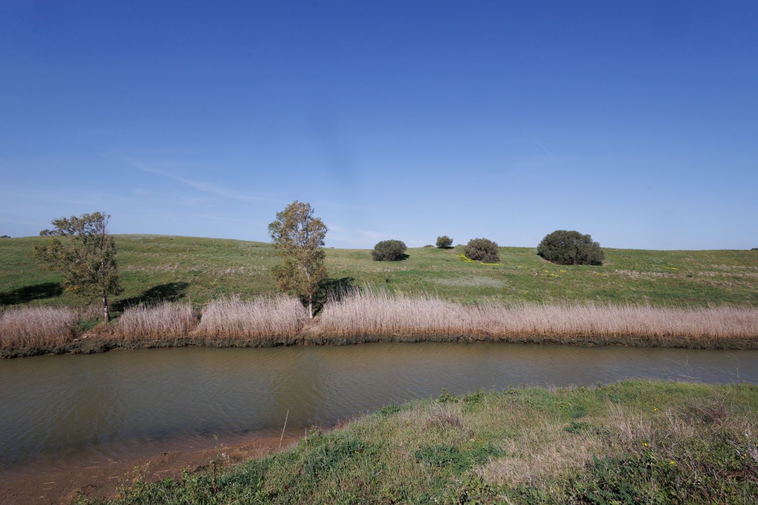Vejer recuperación humedal Janda