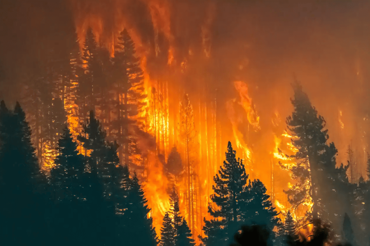 incendios sexta generación