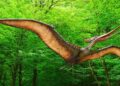Un Pterosaurio hallado en Arizona es el más antiguo de Norteamérica