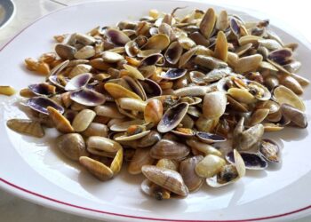 microplásticos coquinas estuarios Guadiana Guadalquivir