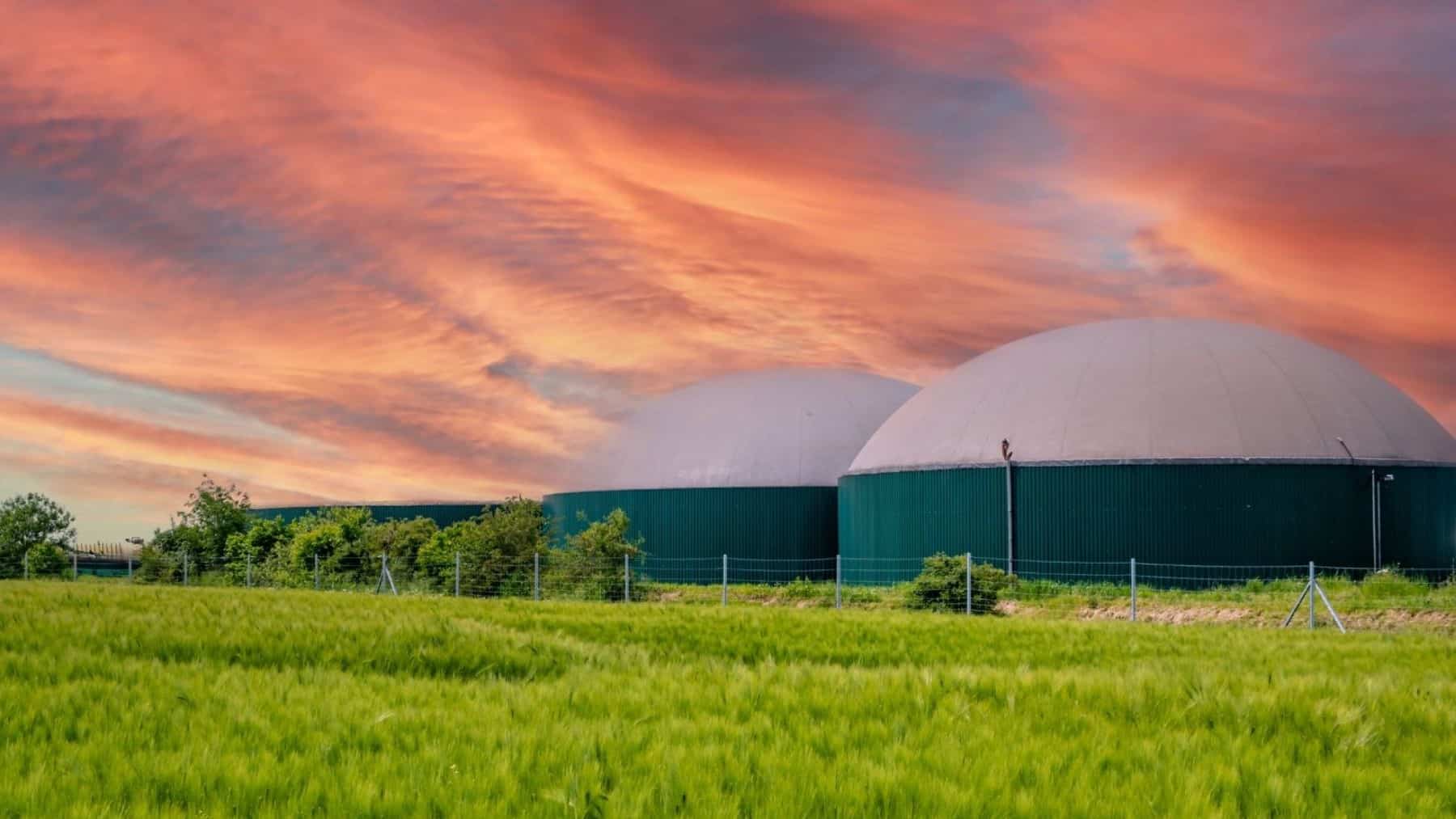 inteligencia artificial