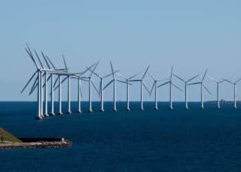energía-ecosistema
