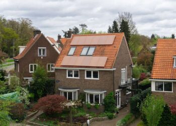 paneles solares