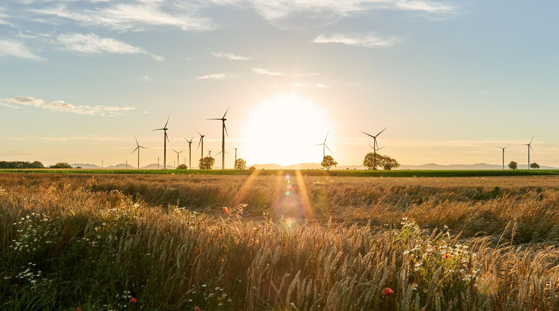 ALIENTE critico nuevo RDL anti apagón reconducir transición energética