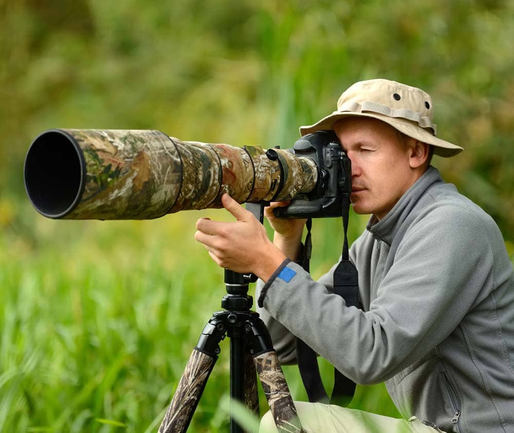 Avistamiento aves ecoturismo beneficios economía rural
