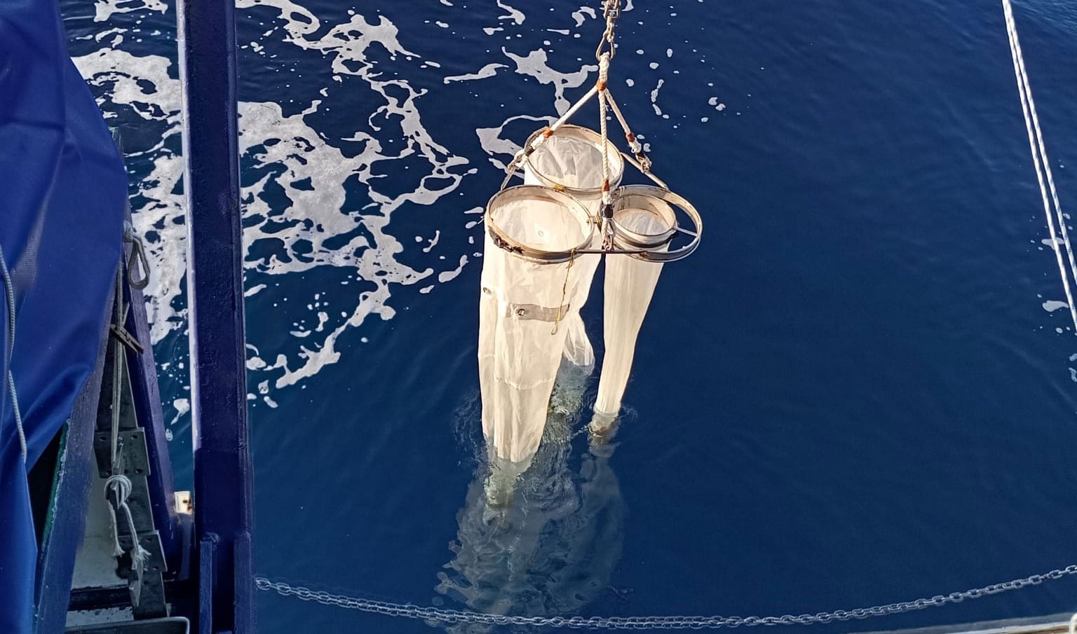 Baleares científicas COB IEO CSIC estudian impacto plástico mar biodiversidad