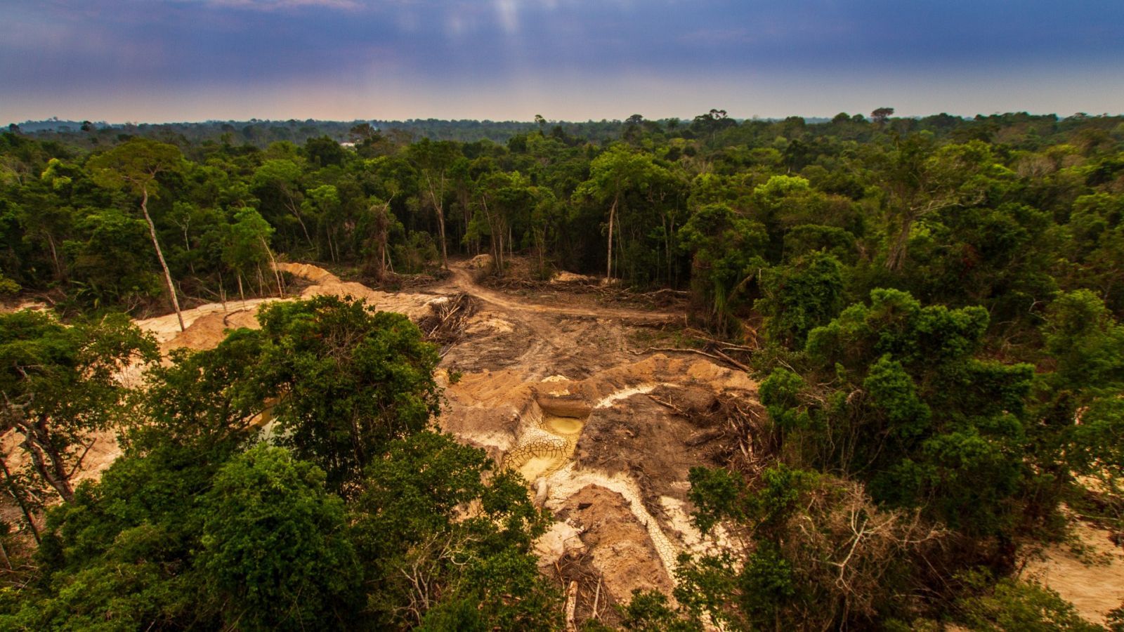 Brasil deforestación Amazonía