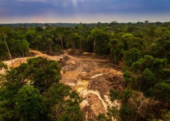 Brasil deforestación Amazonía
