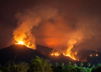 Canadá incendios forestales activos segunda peor temporada