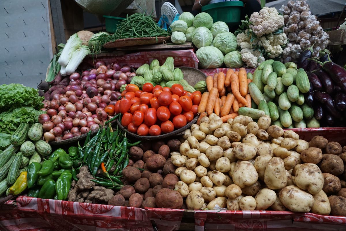 Catalunya CCPAE producción consumo ecológico