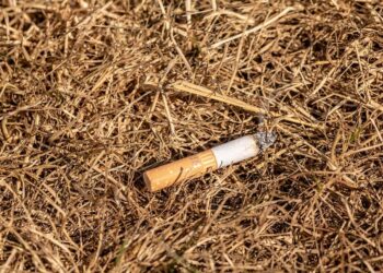 1 euro invertido prevención incendios forestales ahorraríamos 99 extinguirlos