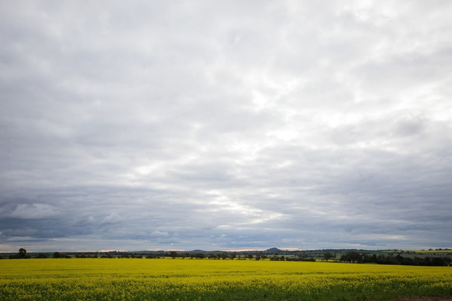 tiempo 25 agosto España