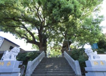 Dos árboles bomba nuclear Nagasaki tragedia