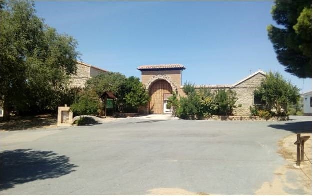 Borril Toledo linces ibéricos